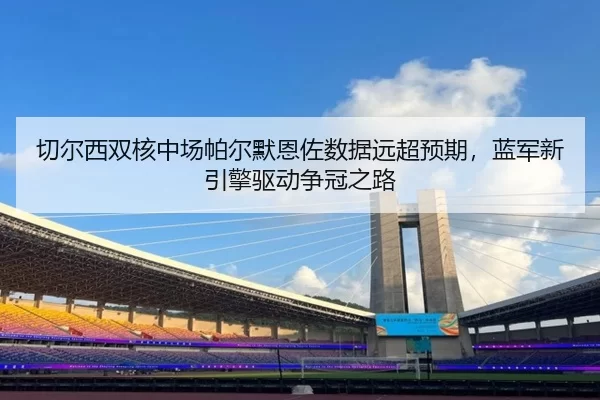 qie-er-xi-shuang-he-zhong-chang-pa-er-mo-en-zuo-shu-ju-yuan-chao-yu-qi-lan-jun-xin-yin-qing-qu-dong-zheng-guan-zhi-lu-3-314.jpg