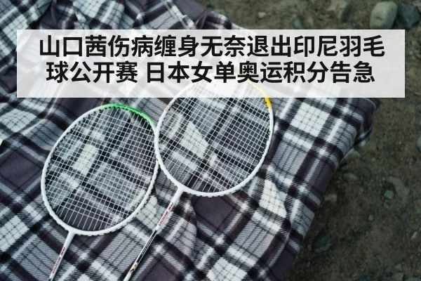 badminton racket closeup