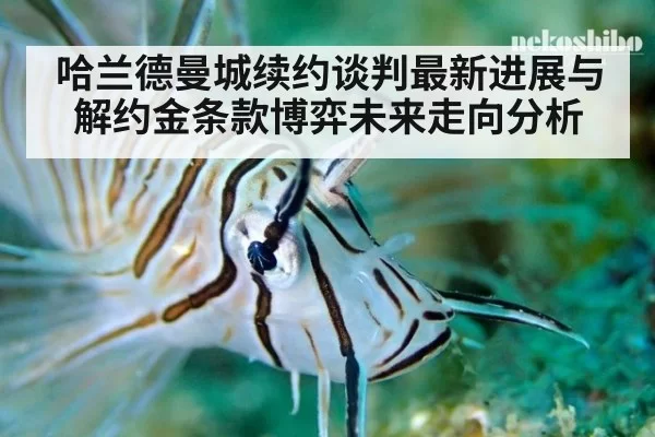 哈兰德曼城续约谈判最新进展与解约金条款博弈未来走向分析